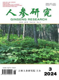 人参研究